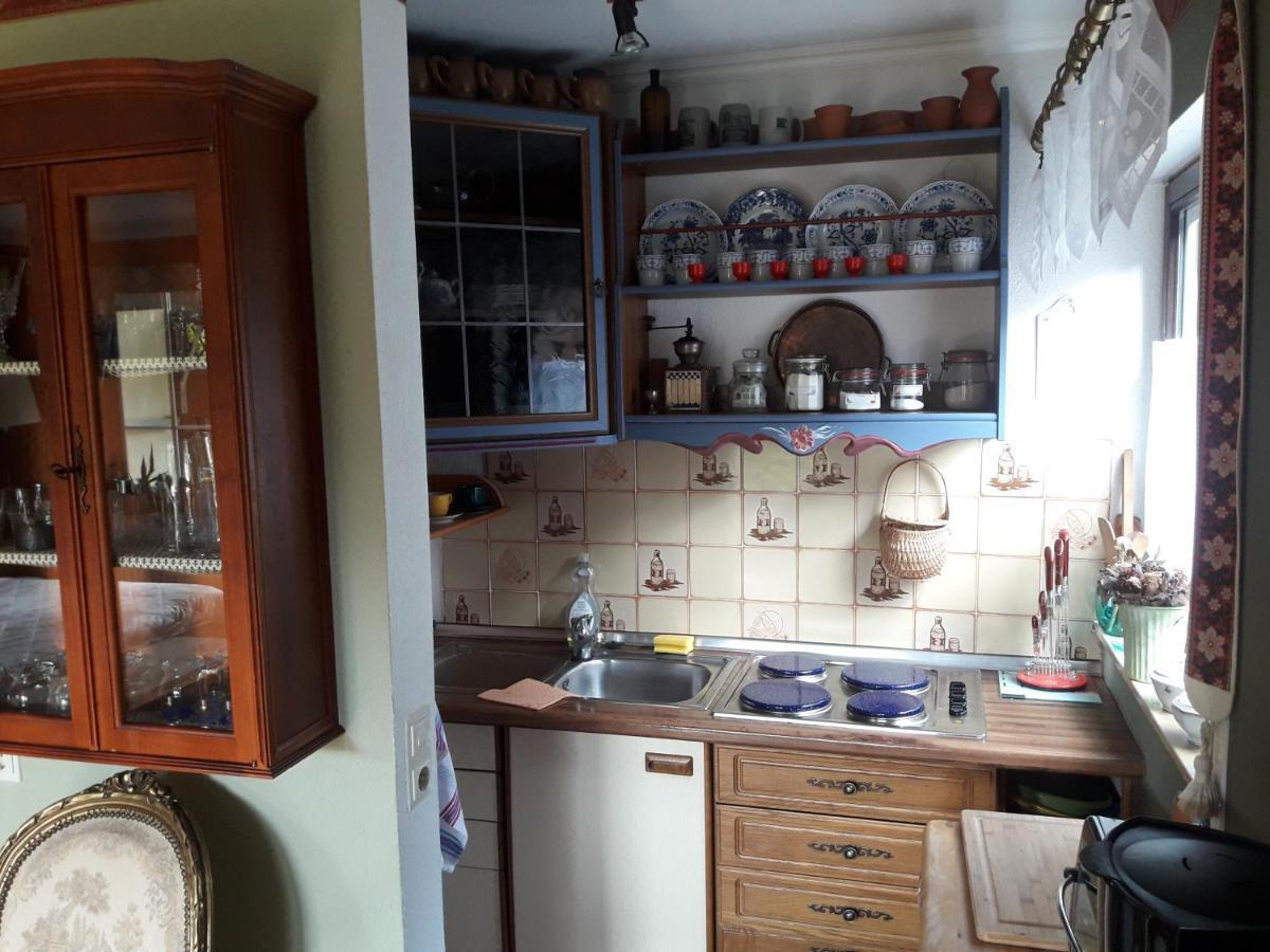 Haus Wiesental Kleines Wiesental Экстерьер фото