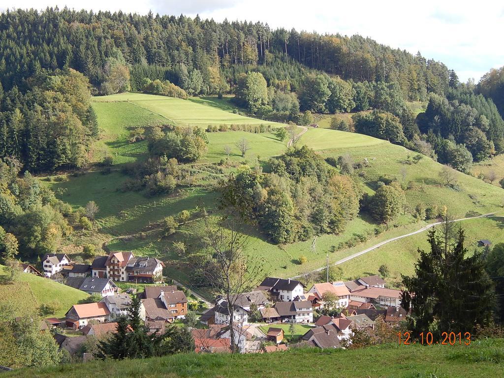 Haus Wiesental Kleines Wiesental Экстерьер фото